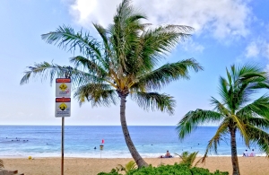 HNL